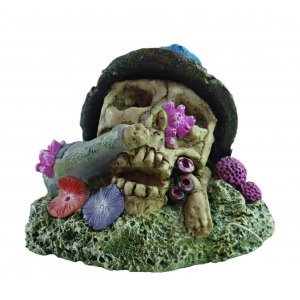 HAQUOSS KORAL SKULL 3 - 11,5x8,6x8,5h cm